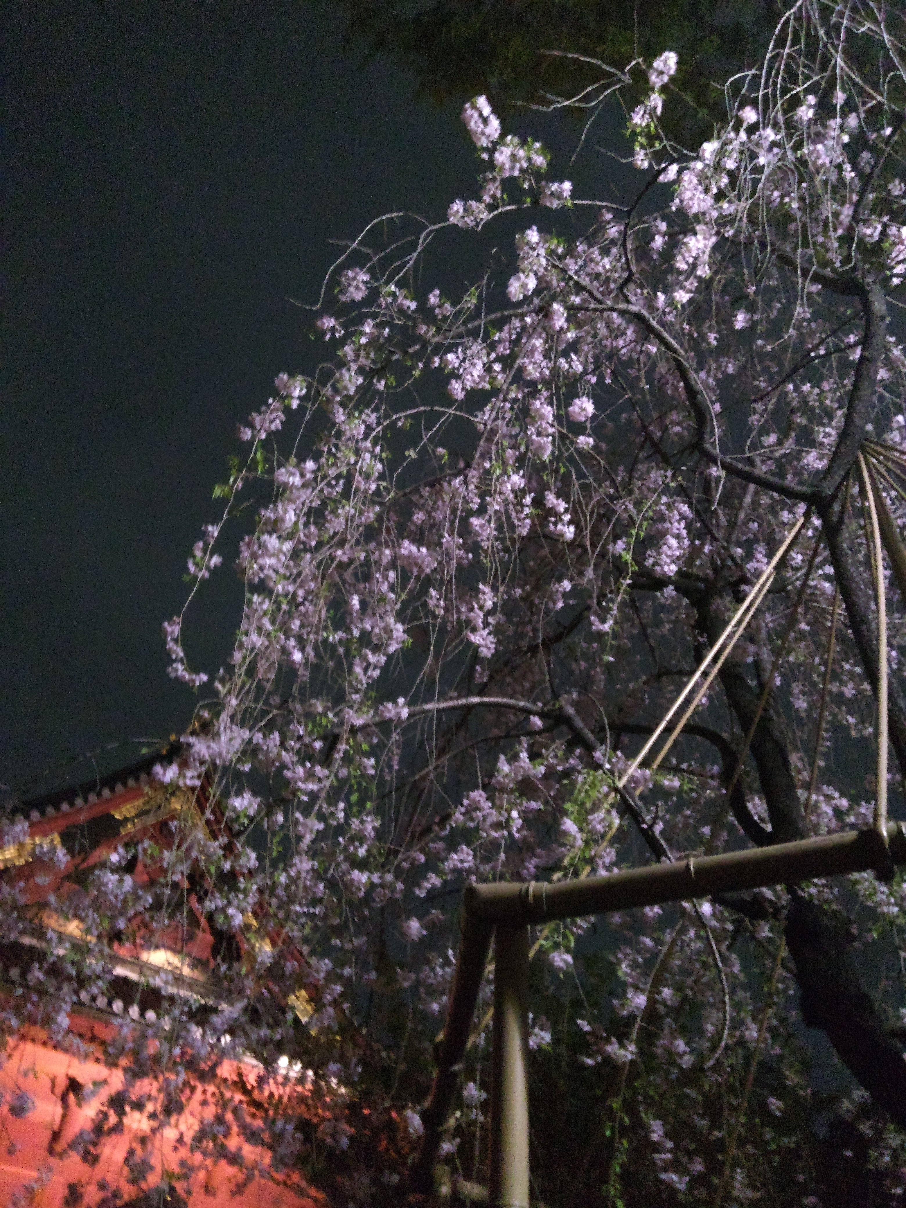 2018年3月
